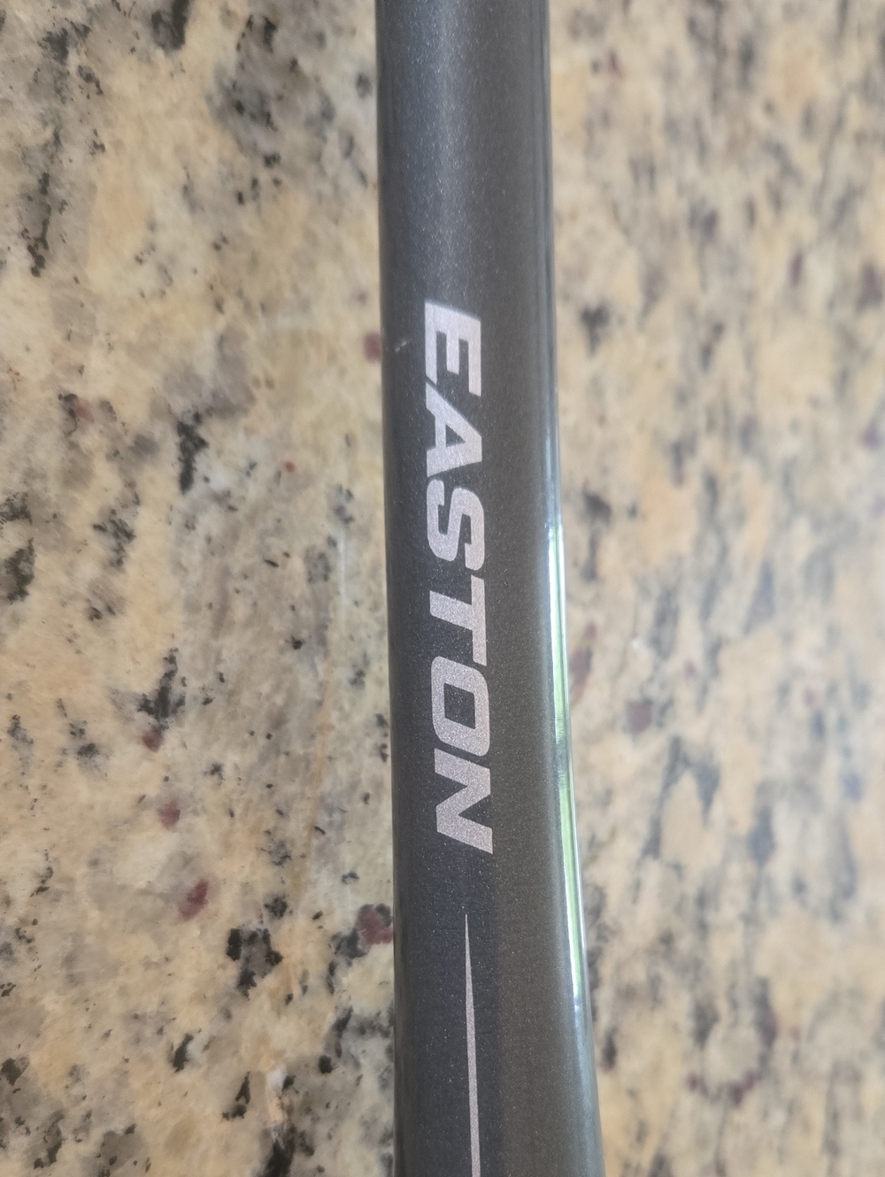 Easton Metallic 29" Gray Bat with White Logo